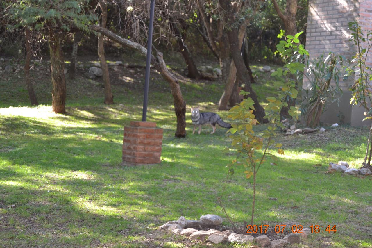 Cabanas Del Bosque Villa Merlo Buitenkant foto